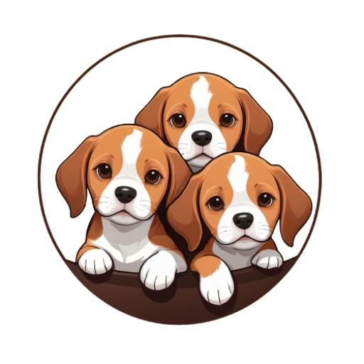 Cute Beagle Puppies